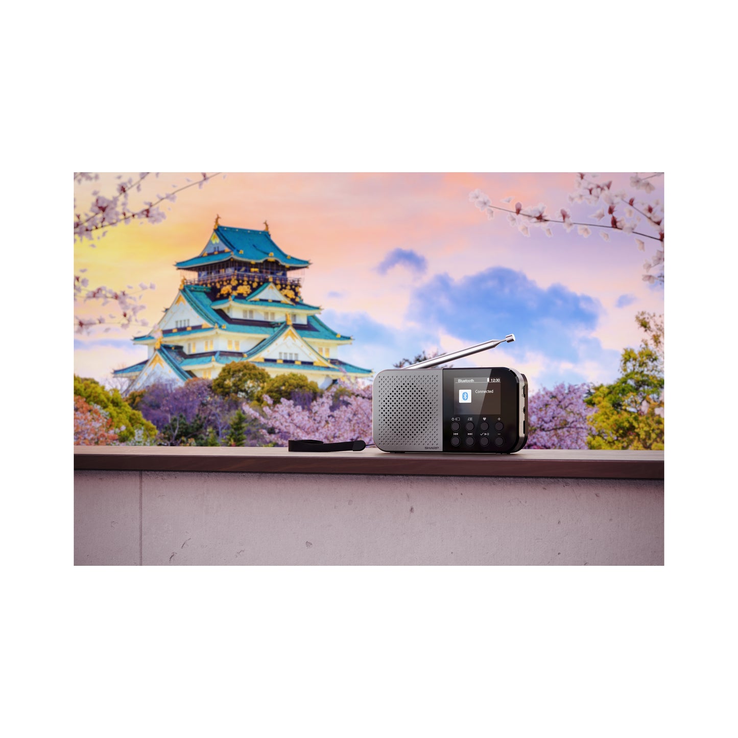 DR-P520GY Osaka Digitalradio tragbar, DAB+/FM, Bluetooth 5.3, USB/Akku, 2" Farb-Display, Kopfhöreranschluss, Grau