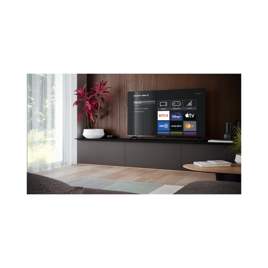 55 Zoll 4K Roku Smart TV – rahmenloser Fernseher mit HDR10 & Dolby Vision