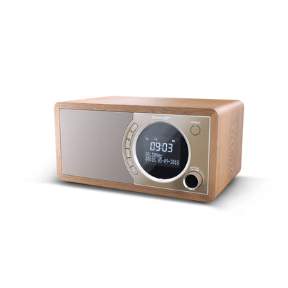 DR-450BR – Digitalradio mit DAB+/FM & Bluetooth 4.2 – 20 Senderspeicher, schwarzes Holzgehäuse mit Edelstahl-Front, LCD-Display mit Dimmer, Weckerfunktion mit Snooze, kompakt & energiesparend