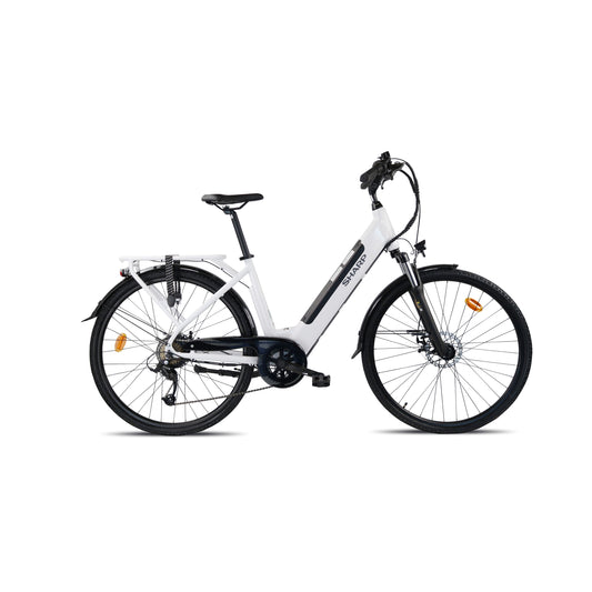 ED05EW - City e-Bike für Damen - elegantes 28 Zoll Tiefeinsteiger Pedelec (250 W Motor, 18,5 Zoll Rahmen, 12.8Ah Akku, Shimano 7-Gang, Scheibenbremsen, 25km/h, bis 80km Reichweite) - weiß