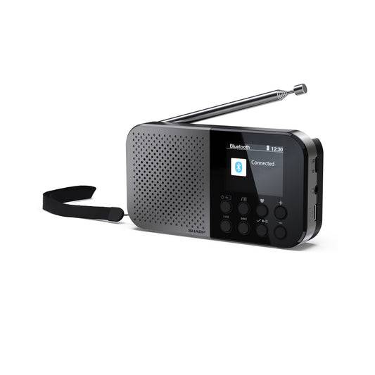 DR-P520GY Osaka Digitalradio tragbar, DAB+/FM, Bluetooth 5.3, USB/Akku, 2" Farb-Display, Kopfhöreranschluss, Grau