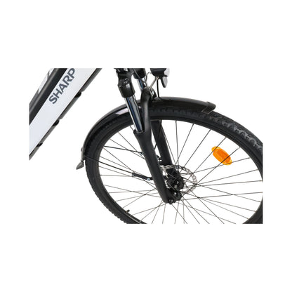 ED05EW - City e-Bike für Damen - elegantes 28 Zoll Tiefeinsteiger Pedelec (250 W Motor, 18,5 Zoll Rahmen, 12.8Ah Akku, Shimano 7-Gang, Scheibenbremsen, 25km/h, bis 80km Reichweite) - weiß