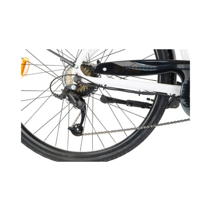 ED05EW - City e-Bike für Damen - elegantes 28 Zoll Tiefeinsteiger Pedelec (250 W Motor, 18,5 Zoll Rahmen, 12.8Ah Akku, Shimano 7-Gang, Scheibenbremsen, 25km/h, bis 80km Reichweite) - weiß