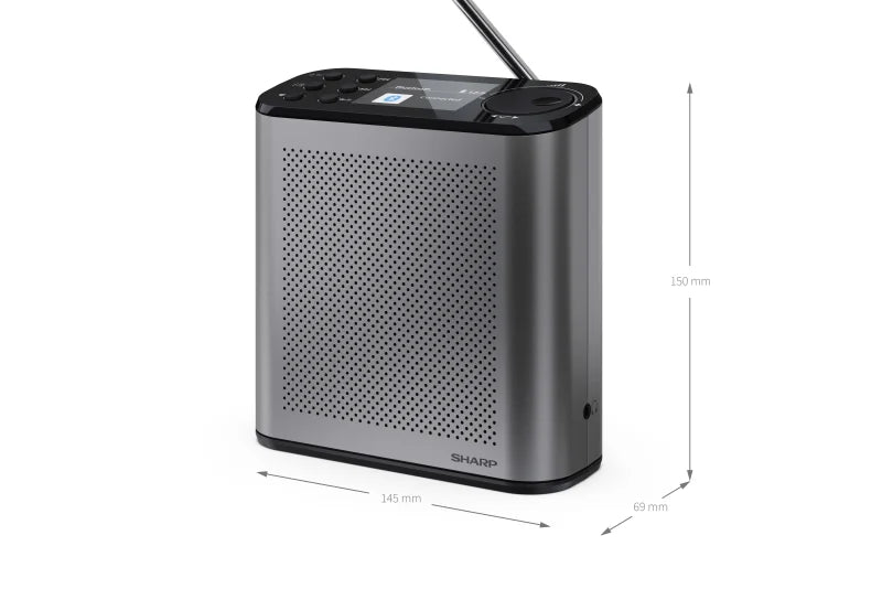 Tragbares DAB+ Digitalradio – Bluetooth Radio mit 15h Akku & BestTune