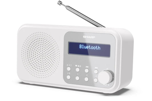 Tragbares DAB+/FM Digitalradio – mit Bluetooth 5.3 & Dual-Alarm