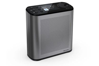 Tragbares DAB+ Digitalradio – Bluetooth Radio mit 15h Akku & BestTune