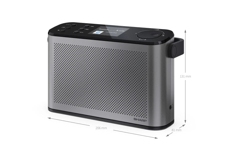 Tragbares DAB+ Stereo Digitalradio – Bluetooth Radio mit Akku & BestTune