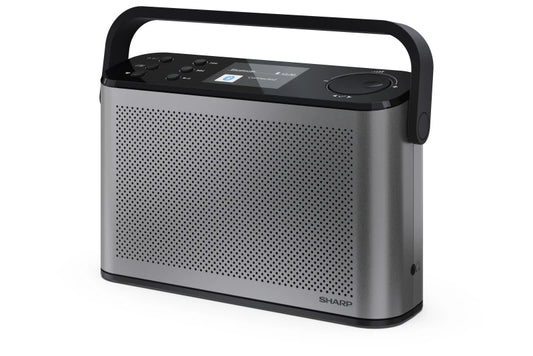 Tragbares DAB+ Stereo Digitalradio – Bluetooth Radio mit Akku & BestTune